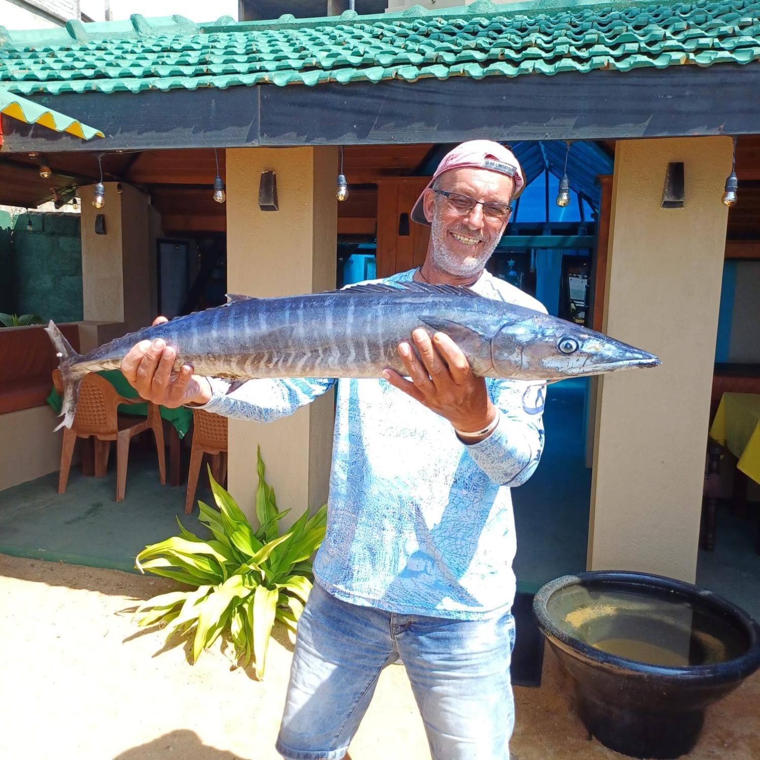 Hotel Coconut Bar Sea Lodge 베루왈라 외부 사진
